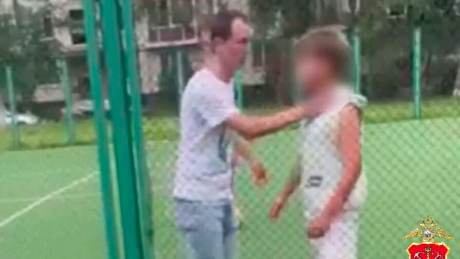 Полицейские поймали мигранта, который напал на ребенка на футбольном поле в Петербурге