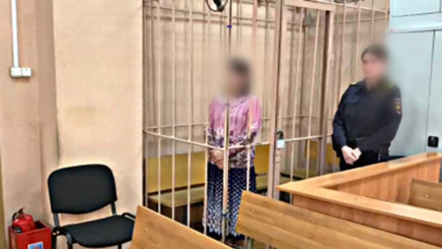 Россиянка, обвиняемая в похищении ребенка в Ярославле, может избежать тюрьмы 