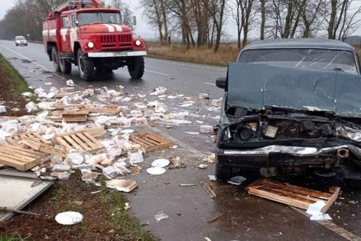 В Курской области во время ДТП из машины вывалились торты - Газета.Ru |  Новости