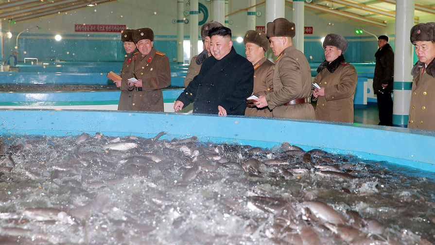 Ким Чен Ын во время посещения Самчхонской рыбной фермы, снимки опубликованы 21&nbsp;февраля 2017&nbsp;года