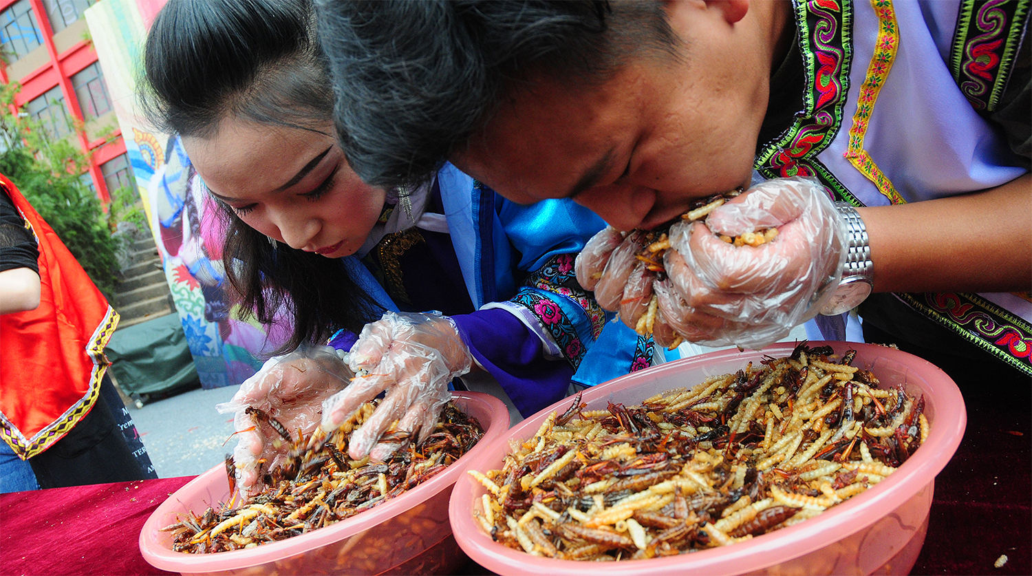 Где едят червей. Отвратительные китайские блюда. Экзотические блюда. Еда из насекомых. Еда из насекомых в Китае.