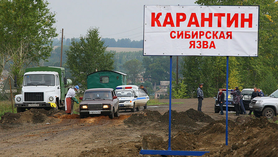 Карантинный пост в Алтайском крае, 2012 год