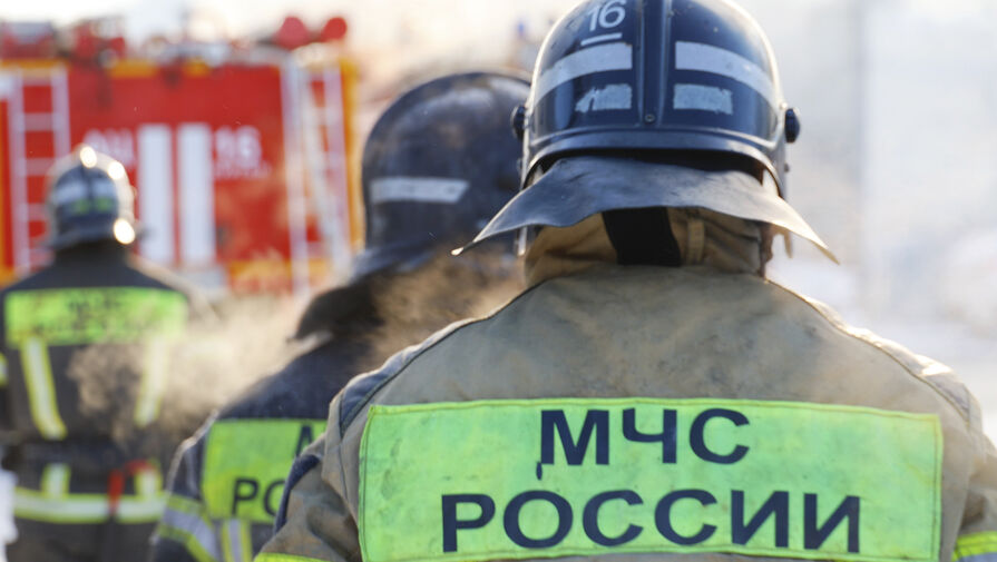 Крупный пожар вспыхнул возле зоопарка во Владивостоке