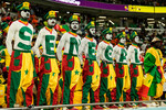 Болельщики сборной Сенегала на ЧМ-2022 в Катаре