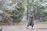 Женщина во время снегопада в Москве, 8 мая 2024 года