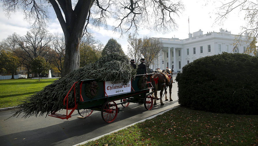 Рождественская ель прибывает в&nbsp;Белый дом