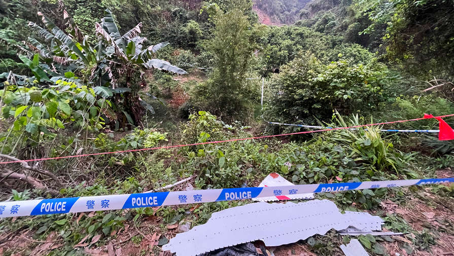 Второй черный ящик найден возле потерпевшего крушение Boeing 737 в Китае