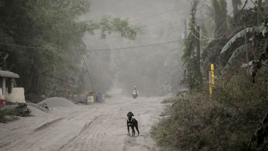 Последствия выброса пепла вулканом Таал на Филиппинах, 13 января 2020 года