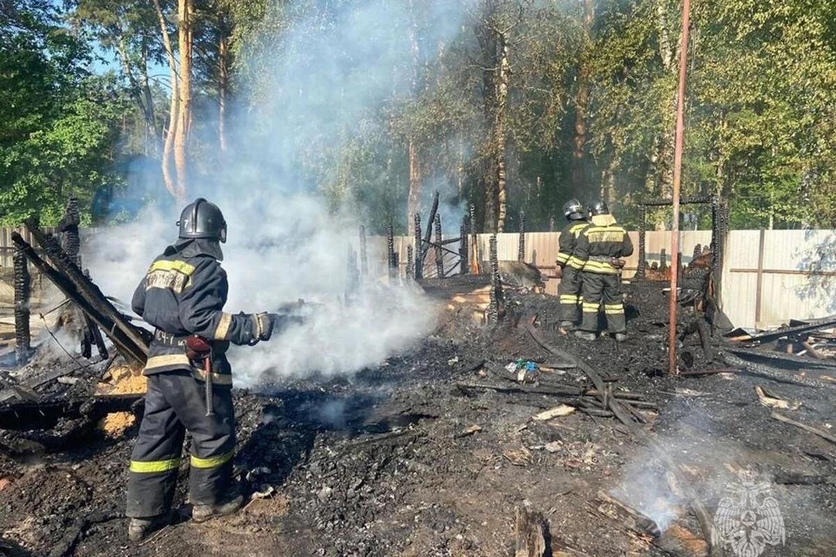 В Новосибирске сын многодетной матери погиб при пожаре в день, когда она  родила ребенка - Газета.Ru | Новости