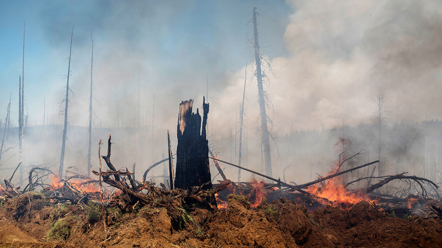 В Бурятии за прошедшие сутки потушили 20 лесных пожаров
