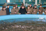 Ким Чен Ын во время посещения Самчхонской рыбной фермы, снимки опубликованы 21 февраля 2017 года