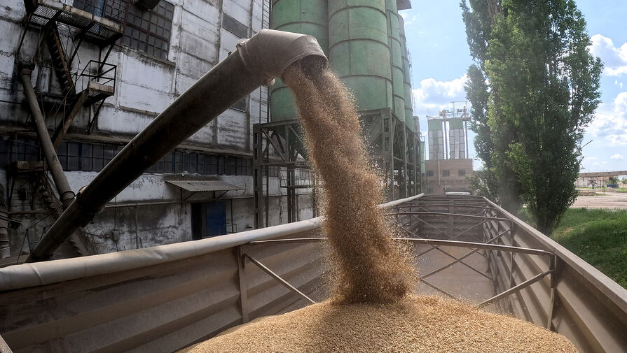 Взорван аммиакопровод Тольятти — Одесса. Что теперь будет с зерновой сделкой