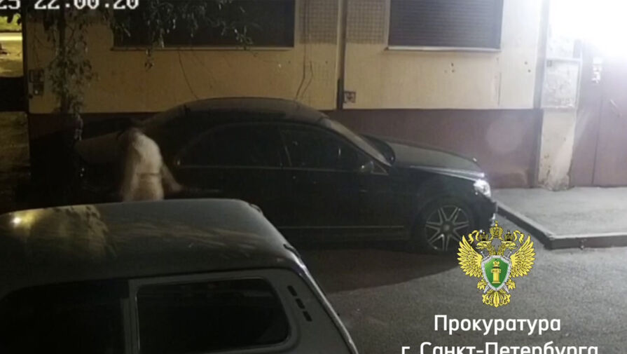 Петербурженка отомстила владельцу Mercedes за неправильную парковку и поплатилась