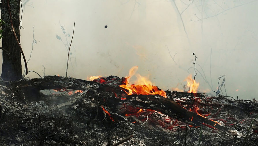 МЧС Казахстана: десять человек пострадали при лесных пожарах на севере республики