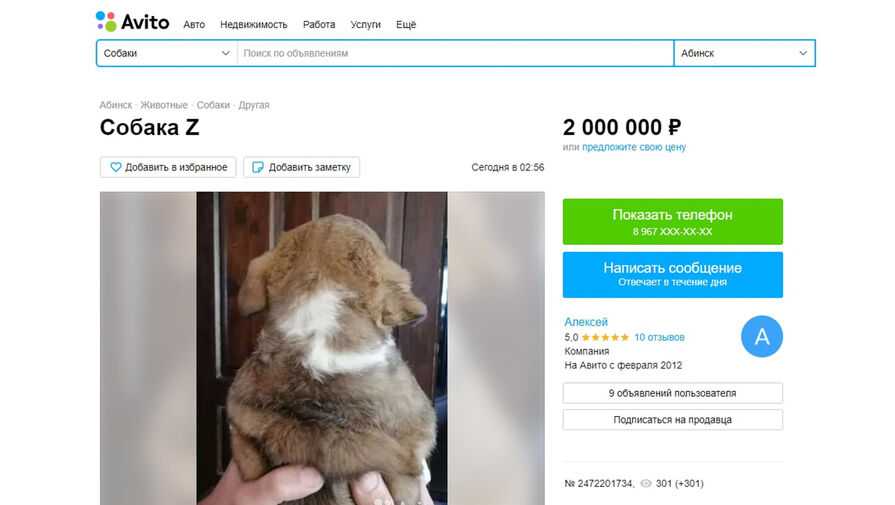 Автор объявления о продаже щенка с буквой Z за 2 млн рублей рассказал, что это просто эксперимент