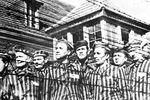 Немногие из оставшихся в живых узников концлагеря за колючей проволокой. Фото сделано в первые дни после освобождения Красной Армией концлагеря «Освенцим» 