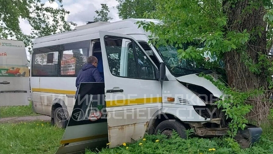 В Подмосковье маршрутка с пассажирами врезалась в дерево