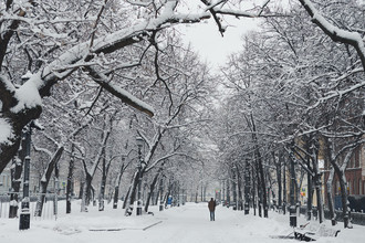 Последствия снегопада в Москве, 31 января 2017 года