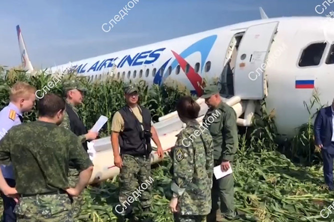На месте аварийной посадки самолета A321 «Уральских авиалиний» в Подмосковье, 15 августа, 2019 года