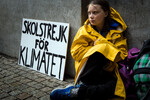 Грета Тунберг во время забастовки школьников, организованной с целью привлечения внимания к проблемам изменения климата, у здания шведского парламента, 2018 год