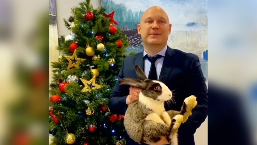 Депутат из Волгограда записал новогоднее поздравление, держа кролика за шкирку