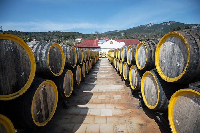 Ряды дубовых бочек для вина мадера на винодельческом заводе «Массандра»