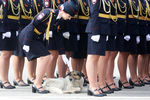 Парадный расчет волгоградской полиции, впервые принимающий участие участие в военном параде Победы, во время парада, посвященного 76-й годовщине Победы в Великой Отечественной войне, 9 мая 2021 года