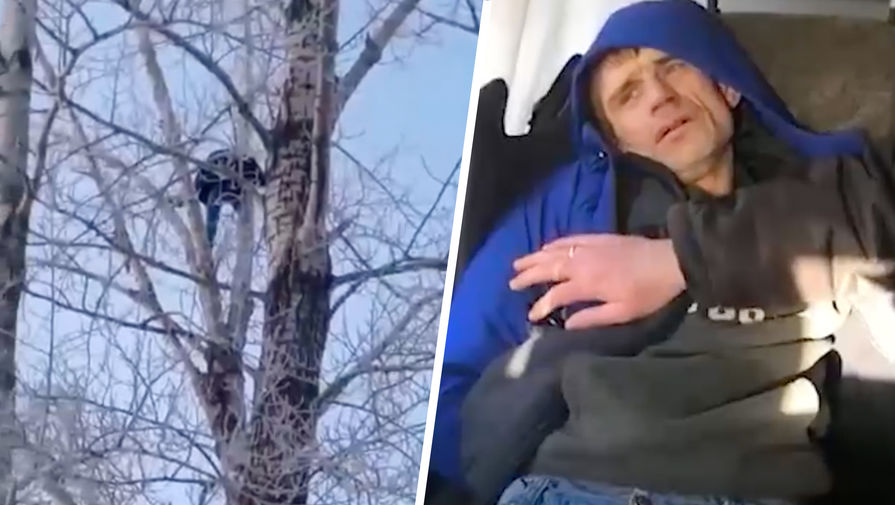 Появилось видео задержания подозреваемого в изнасиловании падчерицы жителя Омска