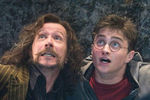 Кадр из фильма «Гарри Поттер и Орден Феникса» (2007)