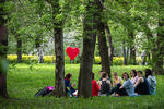 Горожане отдыхают в яблоневом саду в московском музее-заповеднике «Коломенское»