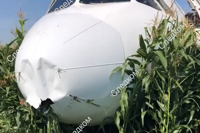 На месте аварийной посадки самолета A321 «Уральских авиалиний» в Подмосковье, 15 августа, 2019 года