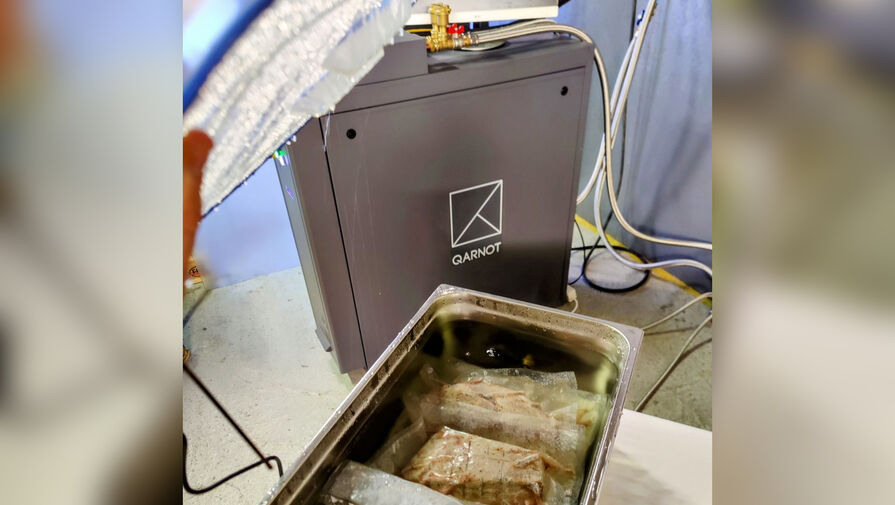 Разработчик из Qarnot приготовил утку с помощью работающего над 3D-графикой сервера