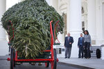 Первая леди США Мишель Обама со своими собаками Бо и Санни приветствуют рождественскую ель у дверей Белого дома