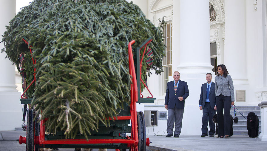 Первая леди США Мишель Обама со своими собаками Бо и Санни приветствуют рождественскую ель у&nbsp;дверей Белого дома