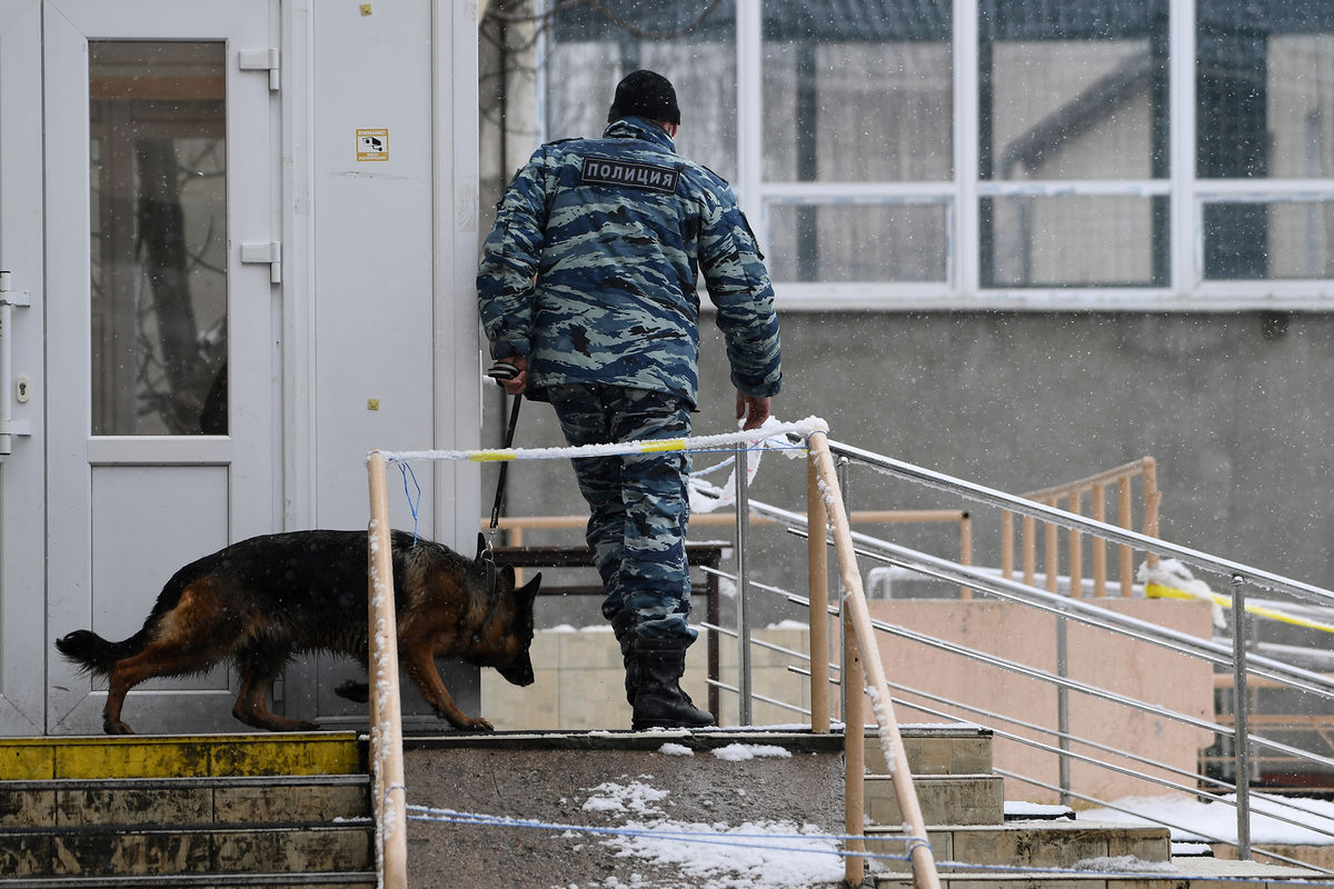 Учеников петербургской школы вывели на улицу из-за лжеминеров - Газета.Ru |  Новости