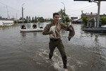 Волонтер эвакуирует животных из затопленного района в Херсоне, 7 июня 2023 года