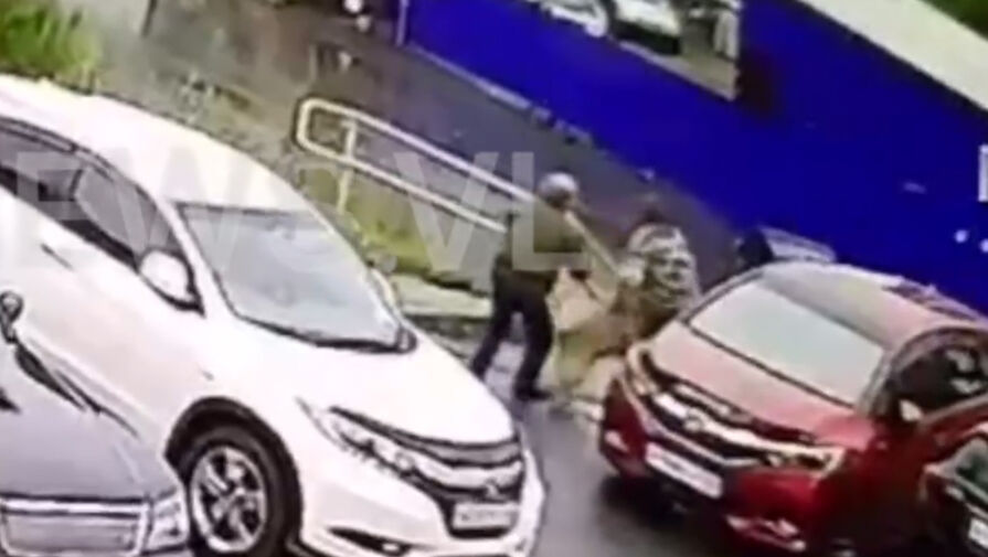 Агрессивная собака набросилась на женщину с маленьким псом во Владивостоке