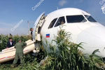 На месте аварийной посадки самолета A321 «Уральских авиалиний» в Подмосковье, 15 августа, 2019 года