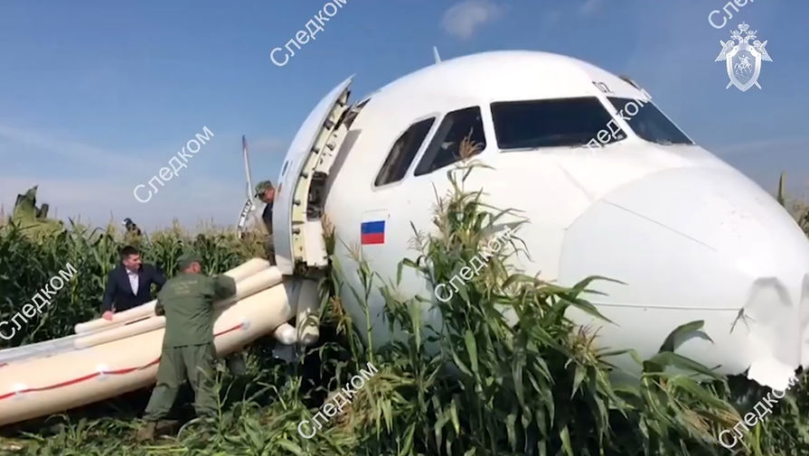 На месте аварийной посадки самолета A321 «Уральских авиалиний» в Подмосковье, 15 августа, 2019 года