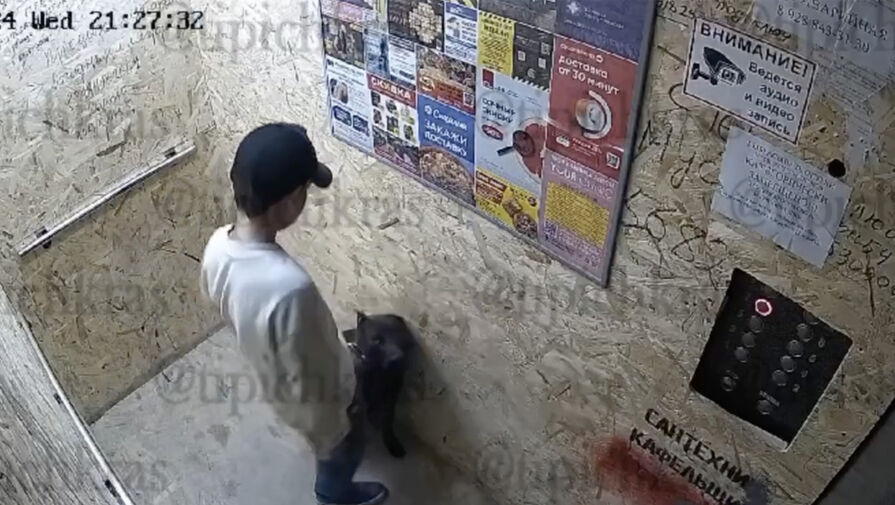 Российского школьника уличили в издевательстве над собакой в подъезде и лифте многоэтажки