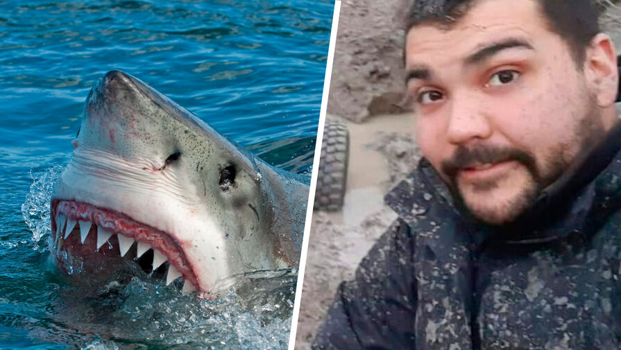 Останки пропавшего без вести байкера нашли внутри акулы