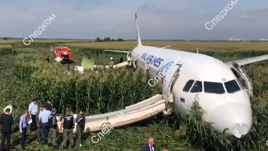 На&nbsp;месте аварийной посадки самолета A321 «Уральских авиалиний» в&nbsp;Подмосковье, 15 августа, 2019 года