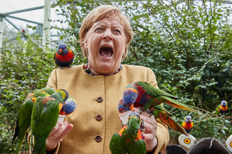 Фото дня: Меркель накормила попугаев в парке