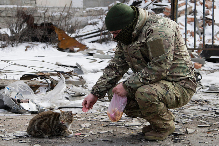 Ополченец ДНР кормит кошку в&nbsp;Углегорске Донецкой области