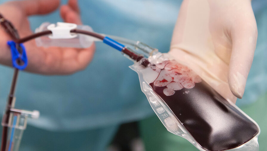 Ученые оценили влияние пола донора крови на выживаемость пациентов