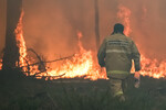 Тушение лесного пожара в районе поселка Ключевск Свердловской области