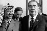 Встреча Леонида Ильича Брежнева с председателем исполкома Организации освобождения Палестины (ООП) Ясиром Арафатом, прибывшим в СССР с официальным визитом, 1981 год