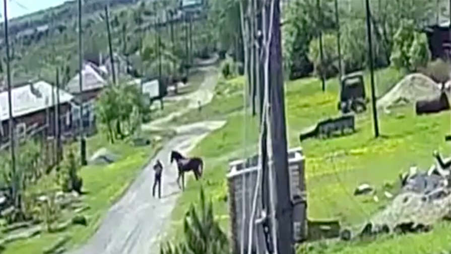 В Свердловской области агрессивная лошадь нападает на людей и собак