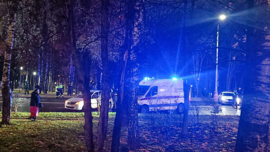 Уголовное дело завели после смертельного ДТП в Москве, в котором сбили мать с ребенком