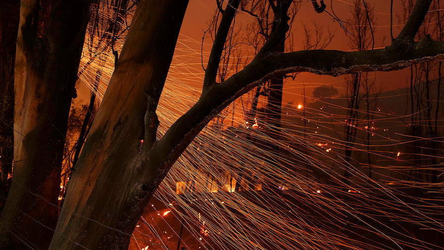 Лесной пожар в&nbsp;городе Санта-Пола, Калифорния, США, 6&nbsp;декабря 2017&nbsp;года